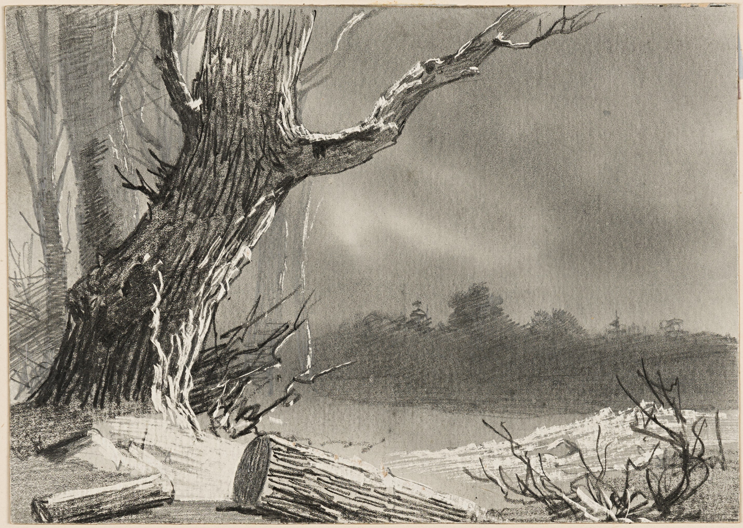 Nocturne: Trees at the Edge of a Lake